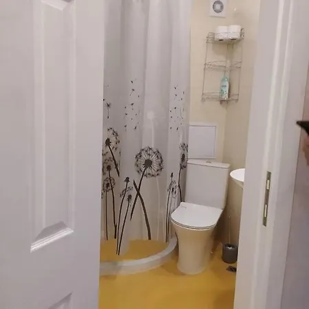 данделион Burgas