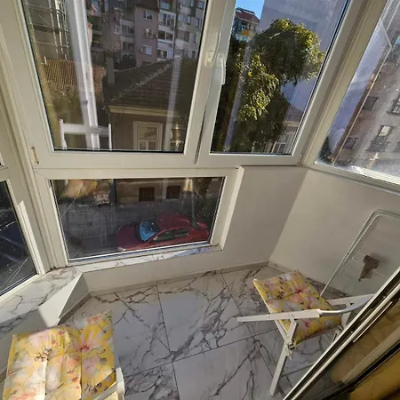 данделион * Burgas