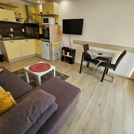 Apartament данделион