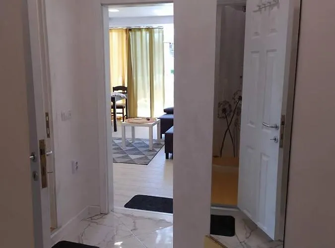 Apartment данделион