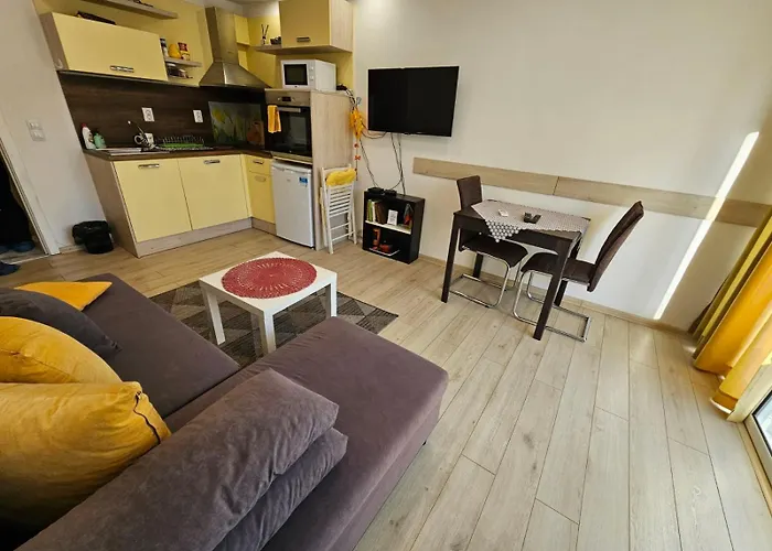 Apartment данделион